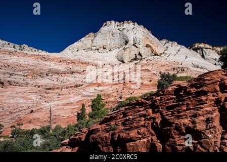 Landschaftlich schöne Bilder des Zions National Park vom Highway 9. Der Park ist in zwei Hauptbereiche unterteilt: Die landschaftlich reizvolle Schleife und Highway 9. Jede Gegend ist wunderschön. Stockfoto