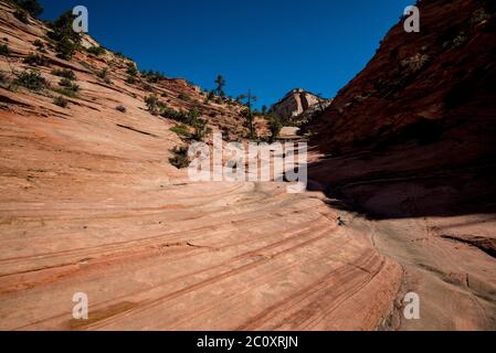 Landschaftlich schöne Bilder des Zions National Park vom Highway 9. Der Park ist in zwei Hauptbereiche unterteilt: Die landschaftlich reizvolle Schleife und Highway 9. Jede Gegend ist wunderschön. Stockfoto