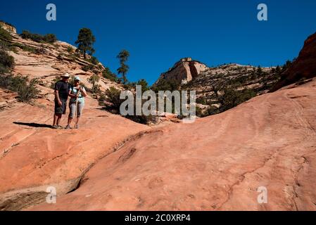 Landschaftlich schöne Bilder des Zions National Park vom Highway 9. Der Park ist in zwei Hauptbereiche unterteilt: Die landschaftlich reizvolle Schleife und Highway 9. Jede Gegend ist wunderschön. Stockfoto