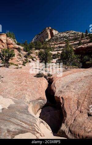 Landschaftlich schöne Bilder des Zions National Park vom Highway 9. Der Park ist in zwei Hauptbereiche unterteilt: Die landschaftlich reizvolle Schleife und Highway 9. Jede Gegend ist wunderschön. Stockfoto
