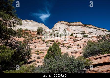 Landschaftlich schöne Bilder des Zions National Park vom Highway 9. Der Park ist in zwei Hauptbereiche unterteilt: Die landschaftlich reizvolle Schleife und Highway 9. Jede Gegend ist wunderschön. Stockfoto