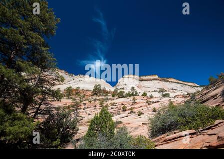 Landschaftlich schöne Bilder des Zions National Park vom Highway 9. Der Park ist in zwei Hauptbereiche unterteilt: Die landschaftlich reizvolle Schleife und Highway 9. Jede Gegend ist wunderschön. Stockfoto