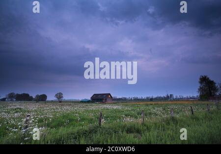 Stürmische Dämmerung auf holländischem Ackerland Stockfoto