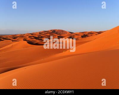 Sanddünen Erg Chebbi in Marokko Stockfoto