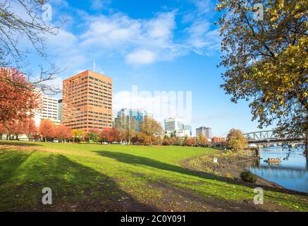 Grünland in Park und modernen Gebäuden und Skyline Stockfoto