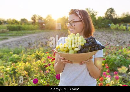 Frau mit Schale frisch gepflückten blauen und grünen Trauben, sonnigen Garten Hintergrund Stockfoto