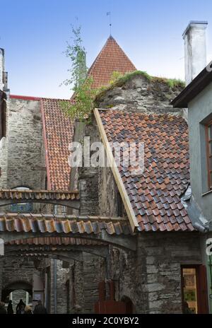 St. Katharina Passage - ein kurzer Fußweg in die Altstadt von Tallinn, Estland. Stockfoto