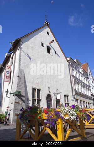 Tallinn, Gebäude aus dem 17. Jahrhundert in der Altstadt und Fahnen mit den Wappen der Ancien Stockfoto