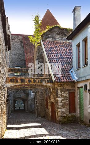 St. Katharina Passage - ein kurzer Fußweg in die Altstadt von Tallinn, Estland. Stockfoto