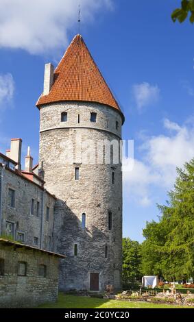 Mittelalterlicher Turm - Teil der Stadtmauer. Tallinn, Estland Stockfoto