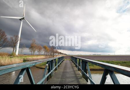 Windturbinen auf holländischem Ackerland bei Sonnenschein Stockfoto