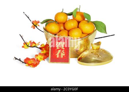 Mandarin Orangen in Gold Ingot Container mit Pflaumenblüte für chinesische Neujahrsdekoration - Übersetzung ' Happy Spring Festival' Stockfoto