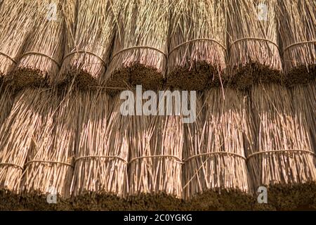 Stroh Hintergrund hautnah. Textur der Strohdach Stockfoto