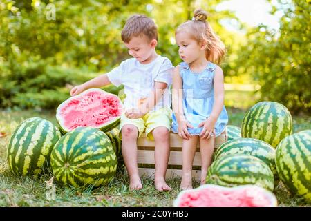 Zwei Kinder sitzen zwischen Wassermelonen im Garten. Kinder essen Obst im Freien. Gesunde Snack für Kinder. 2 Jahre altes Mädchen und Junge genießen Wassermelone Stockfoto