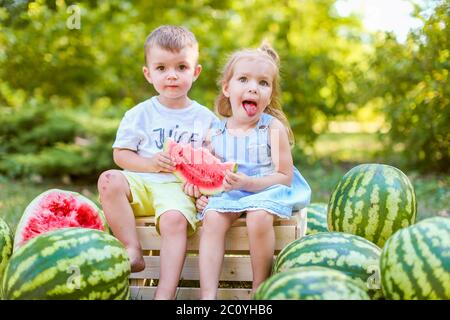 Zwei Kinder sitzen zwischen Wassermelonen im Garten. Kinder essen Obst im Freien. Gesunde Snack für Kinder. 2 Jahre altes Mädchen und Junge genießen Wassermelone Stockfoto