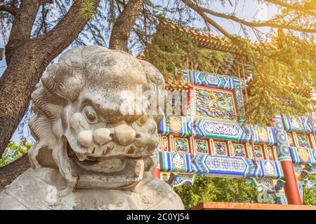 Chinesische Wachen Löwen Skulptur vor dem alten buddhistischen Lama-Tempel in szenischen Morgenlicht Stockfoto