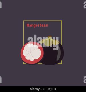 Handzeichnung Mangostan mit Scheibe auf dunklem Hintergrund. Cartoon-Symbol, flaches Design, isoliertes Objekt, Vektorgrafik. Stock Vektor