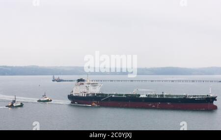 Whitegate, Cork, Irland. Juni 2020. Öltanker British Reason verlässt den Hafen an einem nebligen Morgen, unterstützt von den Schleppern DSG Titan und Alex, nachdem sie ihre Ladung von West Texas Intermediate Rohöl in der Whitegate Ölraffinerie in Co. Cork, Irland, abtransportiert hatten. - Credit; David Creedon / Alamy Live News Stockfoto