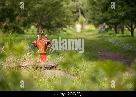 Alte rote Vintage Hydranten auf dem Wald-Hintergrund. Nah, Slelect mit geringen Schärfentiefe konzentrieren Stockfoto