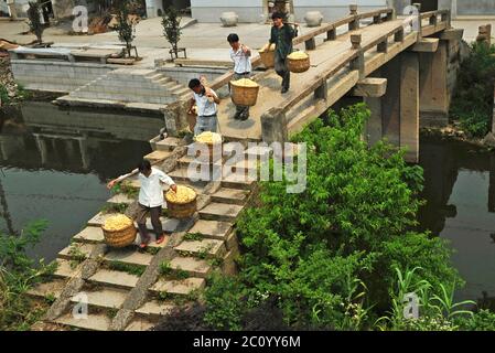 (200613) -- HUZHOU, 13. Juni 2020 (Xinhua) -- Wang Yishi (1. R) und Dorfbewohner tragen geerntete Seidenraupenkokons, die im Dorf Jili der Stadt Huzhou, der Provinz Zhejiang im Osten Chinas, am 3. Juni 2011 verkauft werden. Die Seide von Jili, die im Dorf Jili in Huzhou hergestellt wird, ist für ihre hohe Qualität bekannt. Es wurde als Material für die Herstellung von Seilen für chinesische Kaiser seit der Mitte der Ming-Dynastie (1368-1644) bezeichnet. 2011 wurde die Herstellung der Seide als eines der nationalen immateriellen Kulturgüter aufgeführt. Es ist weltweit bekannt seit 1851, als Jili Seide gewann den ersten Goldpreis für China während der Stockfoto