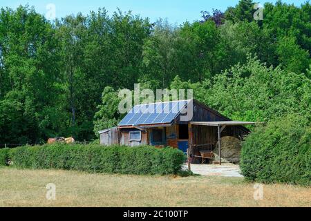 Holzhütte mit Solarpaneelen in einem Feld mit grünen Bäumen und Pferden Hintergrund Stockfoto