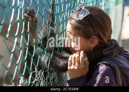 Porträt einer jungen Frau spielen und schmusen spider Monkey Stockfoto