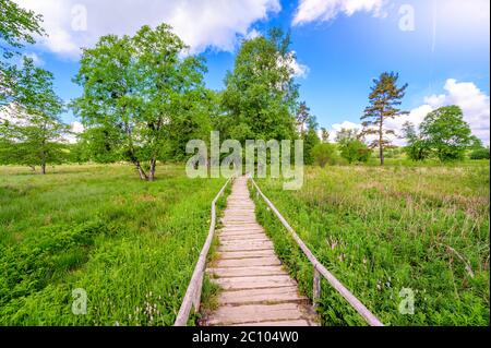 Schopflocher Moor (Torfgrube) bei Lenningen, Schwäbische Alb, wunderschöne Landschaft in Deutschland. Reiseziel. Stockfoto