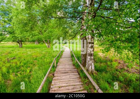 Schopflocher Moor (Torfgrube) bei Lenningen, Schwäbische Alb, wunderschöne Landschaft in Deutschland. Reiseziel. Stockfoto