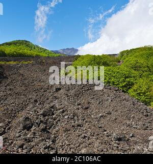 Erstarrter Schwarzer Lava Stockfoto