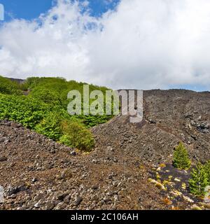 Erstarrter Schwarzer Lava Stockfoto