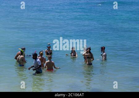 Schnorcheltraining im Meer für Touristen Stockfoto