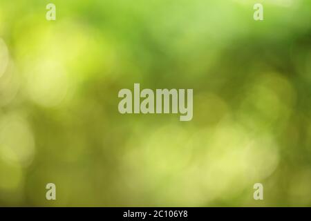 Farbenfroher Hintergrund in grünen und gelben Farben. Unscharfer Bokeh-Effekt. Stockfoto