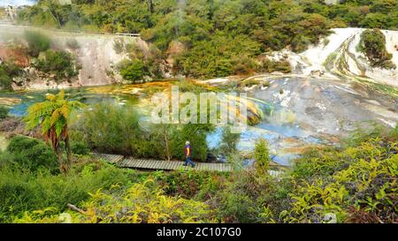 Eine Frau (61) spaziert neben einer aktiven Silica-Terrasse im Orakei Korako Geothermal Park, Neuseeland Stockfoto