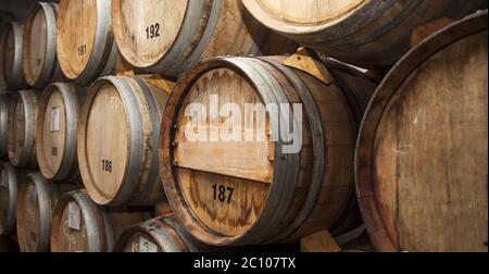 Weinfässer im Keller. Stockfoto