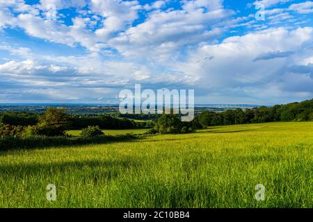 Blick über die Landschaft von sussex und Kent im Osten von North's Seat in Hastings im Südosten Englands Stockfoto