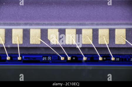 Makrofoto von Goldkontakten verbindet Matrix mit Leiterplatte Stockfoto