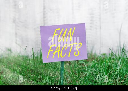 Schreiben von Notizen mit lustigen Fakten. Geschäftskonzept für kurze interessante Wissenswertes, die Informationen enthält einfaches Papier auf Stick und p angebracht Stockfoto