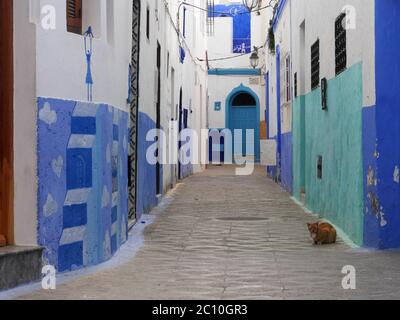 Gasse in der Altstadt von Asilah in marokko Stockfoto