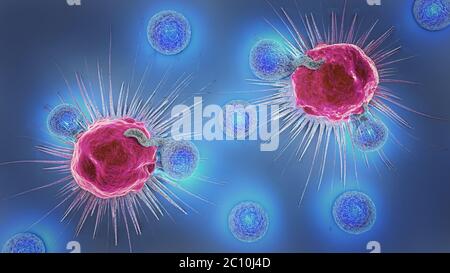 3D-Darstellung einer Krebszelle und Lymphozyten Stockfoto