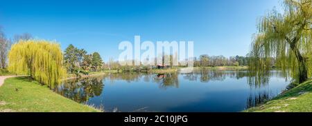 Panorama-Stadtbild eines kleinen Teiches im zentralen Stadtpark in der Innenstadt von Magdeburg im Frühfrühling, Deutschland, sonniger Tag, blauer Himmel Stockfoto