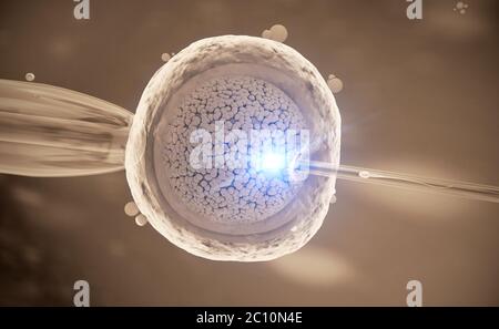 Bunte 3D-Darstellung eines In-vitro-Befruchtung einer Eizelle Stockfoto