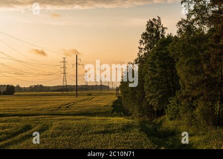 Am Waldrand ein Getreidefeld bei einem bewölkten Sonnenuntergang und in der Mitte davon alle zwei Stromleitungen, als Hauptstromversorgung zum n Stockfoto