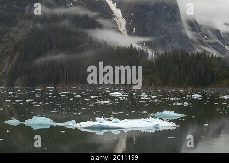 Landschaft bei Tracy Arm Fjord in Alaska, United States Stockfoto