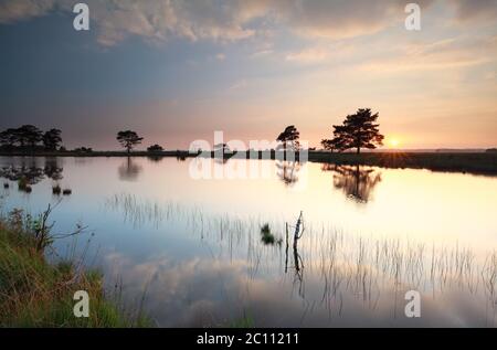 Sommeruntergang über wildem See Stockfoto