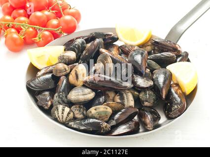 Muscheln in einer Pfanne mit Knoblauch und Tomaten gekocht Stockfoto