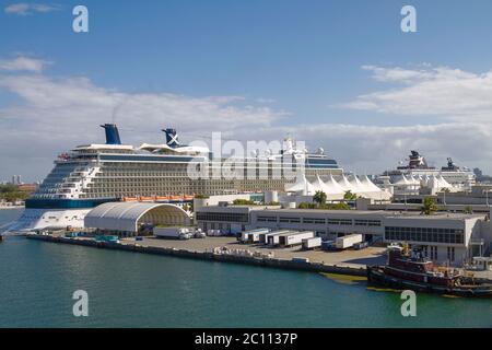 Kreuzfahrtschiffe im Hafen von Miami, Florida, USA Stockfoto