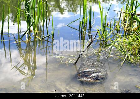 Nahaufnahme der Kerl sitzt auf der Brücke und Angeln Stockfoto