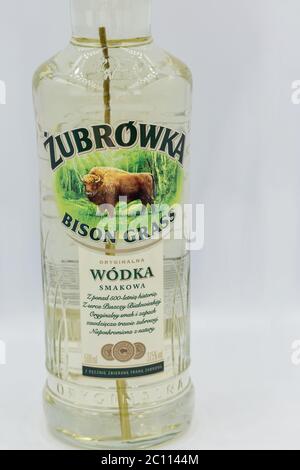 KIEW, UKRAINE - 06. JUNI 2020: Zubrowka Bison Grass Vodka Flasche Nahaufnahme vor weißem Hintergrund. Es ist ein aromatisierter polnischer Wodka Likör, der contai Stockfoto