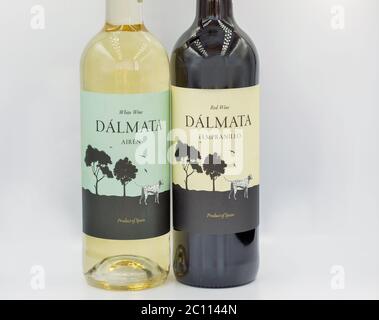 KIEW, UKRAINE - 06. JUNI 2020: Trockene spanische Dalmata-Flaschen mit weißen Airen und roten Tempranillo-Weinflaschen vor weißem Hintergrund. Stockfoto