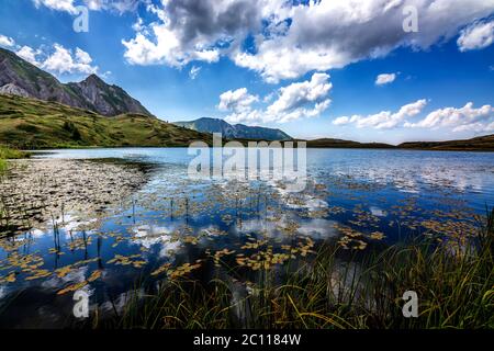 Arsiyan Plateau mit Gletscherseen, weidenden Wildpferden und Rindern in den hohen Bergen von Savsat, Artvin, Türkei. Stockfoto
